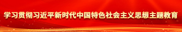 亚洲浪逼学习贯彻习近平新时代中国特色社会主义思想主题教育